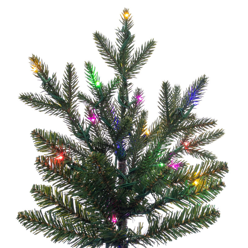  Sapin de Midwest 10 pi x 61 po 3 mm 2750CC, 10 pi x 61 po, Lumières DEL