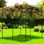 Treillis d'arche de jardin en métal pour plantes grimpantes et support