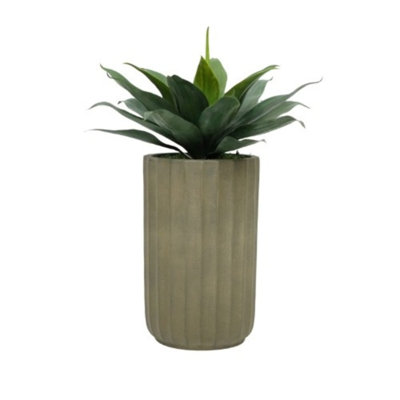 Agave 32 po en céramique gris ciment