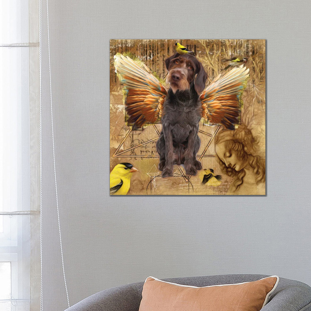 German Wirehaired Pointer Angel Da Vinci