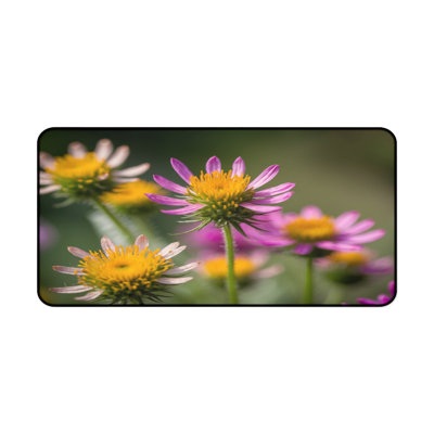 Desk Pad