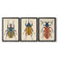 Beetle Bug I - Toile tendue avec châssis sur mesure - 3 pièces-702383958-702383952