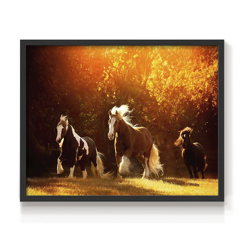 «Horse Motion V», impression encadrée, H 8 po x l 10 po, Noir, noir, noir, noir