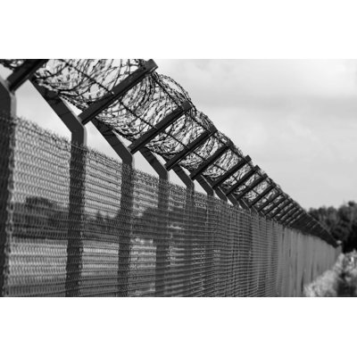Barbed Wire Fence - Wrapped Canvas Photograph