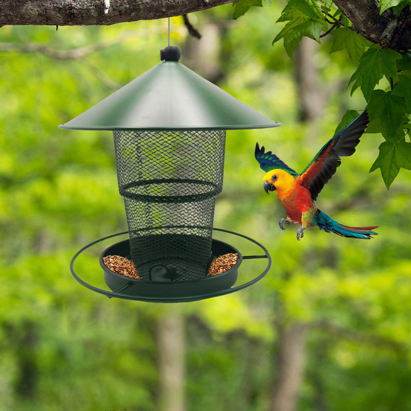 Mangeoire d'extérieur suspendue facile à nettoyer et à remplir pour les oiseaux naturels d'extérieur, vert, Vert