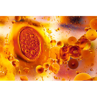 Bonny Bubbles 1 Piece Wrapped Canvas Painting