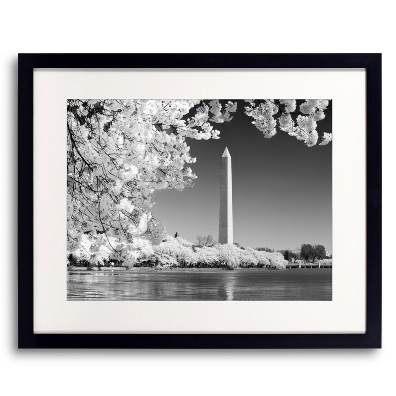 Cherry Blossoms I Print by Robert Dodge, Black Framed Paper, 16" H x 20" W