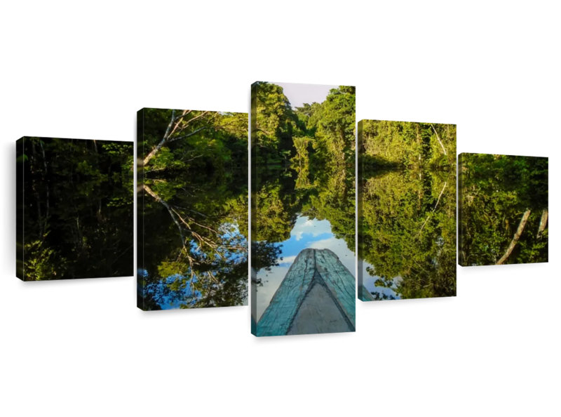 Amazonas, 36" H x 80" W