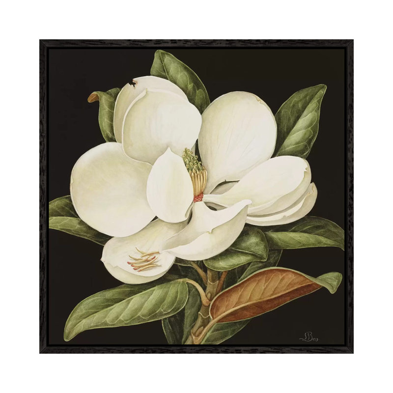Magnolia Grandiflora, 2003 by Jenny Barron - Painting on Canvas, Black Framed, 66.04cm H x 66.04cm W x 3.81cm D