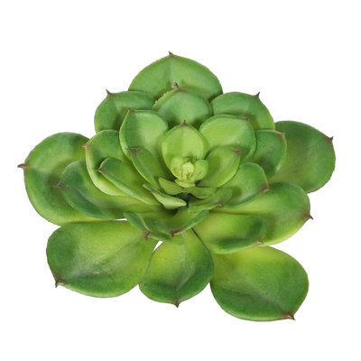 7'' Cactus Stem
