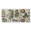 Exotic Botanique I - Toile tendue avec châssis sur mesure - 3 pièces-2126747318