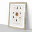 Beetle Illustrations PL.2 by Charles D'Orbigny Framed Print-55543923-55543926