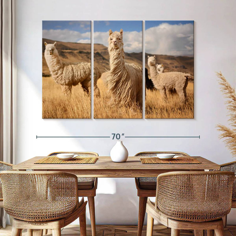 Andac Alpacas