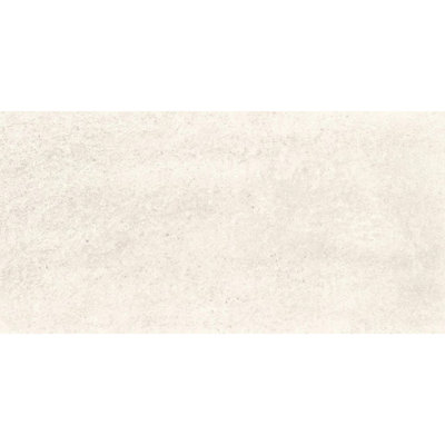 Factory Fumo 24" X 48" Porcelain Wall & Floor Tile