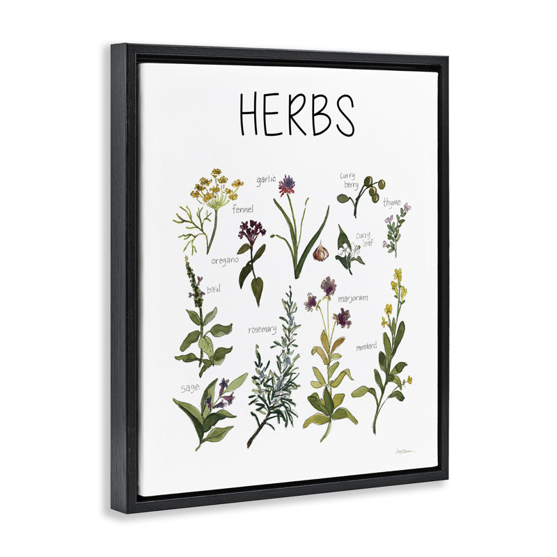 Cadre flottant avec carte d’identification Herbs, design par Carol Robinson, Cadre flottant noir de jais, H 21 po x l 17 po