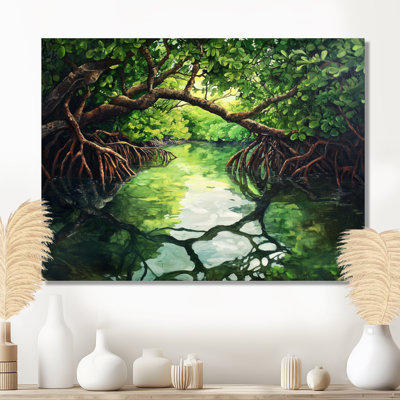 Mangrove Mysteries Swamp In Florida - River Decor, impression murale sur métal