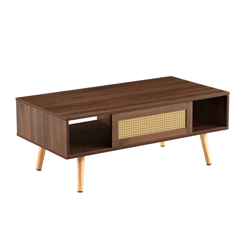 Table basse en rotin PE, porte coulissante pour le rangement, pieds en bois massif, table moderne pour le salon, couleur noyer