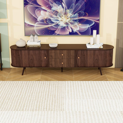 TV Stand with 2 Drawers and Cabinets