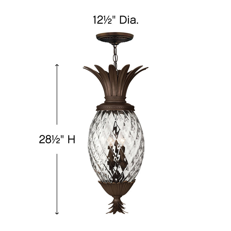 Plantation 4 Light Outdoor Hanging Lantern, Bronze
