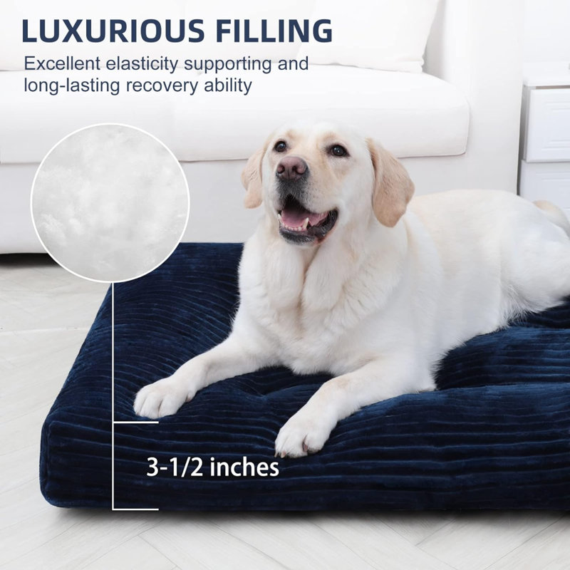 Lits pour chien Eibhlis, Bleu, H 3,5 po x l 23 po x P 35 po