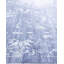 Overdyed One-of-a-Kind Rectangle 9'2" X 12'3" Hand Knotted Area Rug