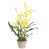 Yellow is out of stock