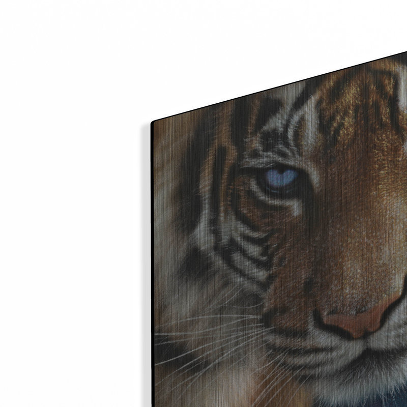 «Blue Eyes» par Collin Bogle, H 12 po x l 12 po