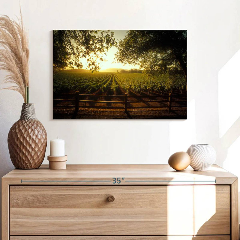 Alvord Oakville Vineyard, H 30 po x l 45 po