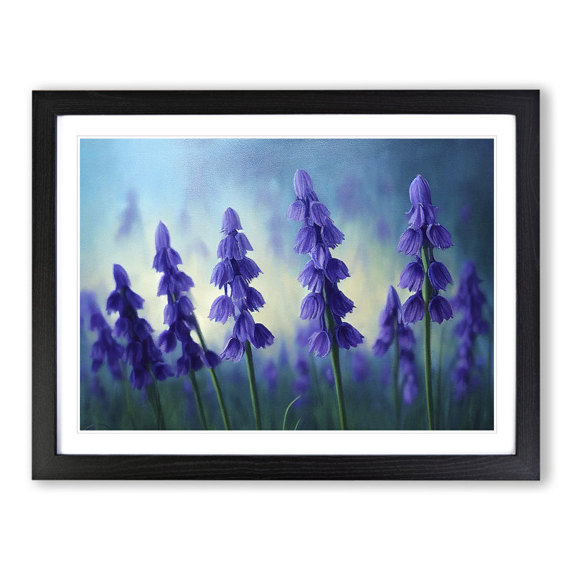 Bluebell Flower Vol.1 - Single Picture Frame Print, Black Framed, 46cm H x 64cm W x 2cm D
