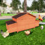 Poulailler en bois pour l'extérieur avec 2 espaces de nidification, ouvertures de gamme, plateau étanche, finition, prédateur, chambre ventilée, entrée simple, aire de repos confortable