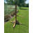 Rhema 0.1 gal. Roosting Bars / Frames For Up To