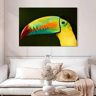 Bec long Brampt Toucan