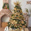 ToccoLeggero-95904644