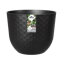 Plant Pot-72816988-72816990