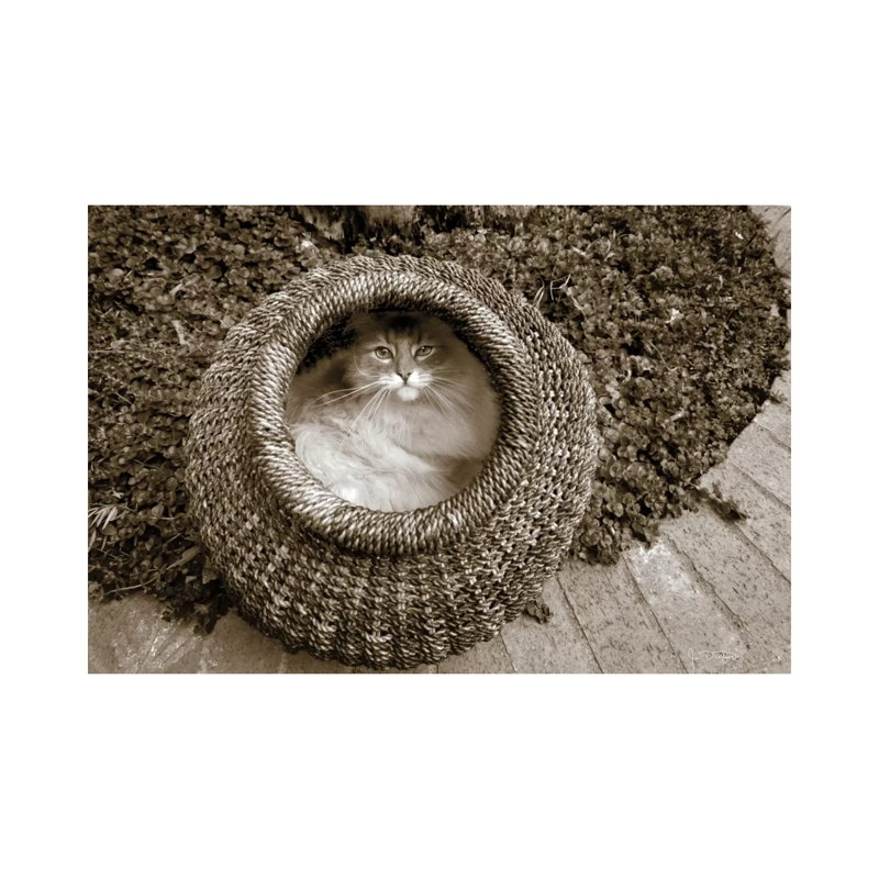 Cat In A Basket by Jim Dratfield - Wrapped Canvas Print, 45.72cm H x 66.04cm W x 1.905cm D
