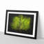 Lines Of The Leaf Paint Splash - Picture Frame Graphic Art-56865457-56865460