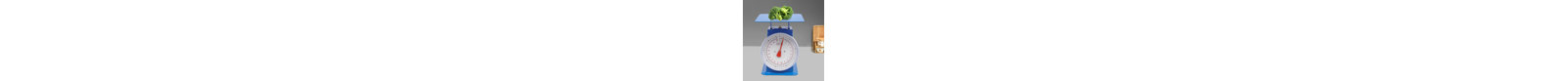 Heavy Duty Portion-Control Mechanical Scale