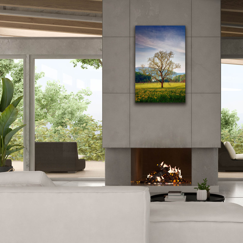 «Spring Glow In Cades Cove» par Rick Berk, art mural sur toile, H 40 po x l 26 po x P 1,5 po