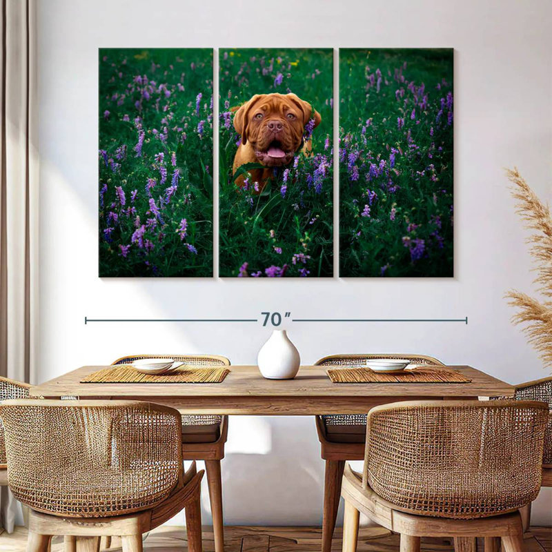 Dogue français Brampt, H 42 po x l 65 po