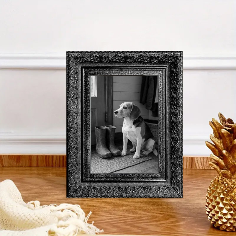 Cadre 11 pi x 14 po noir 1PC pour présentation de photos d'animaux, Black, 1, 11" W x 14" H