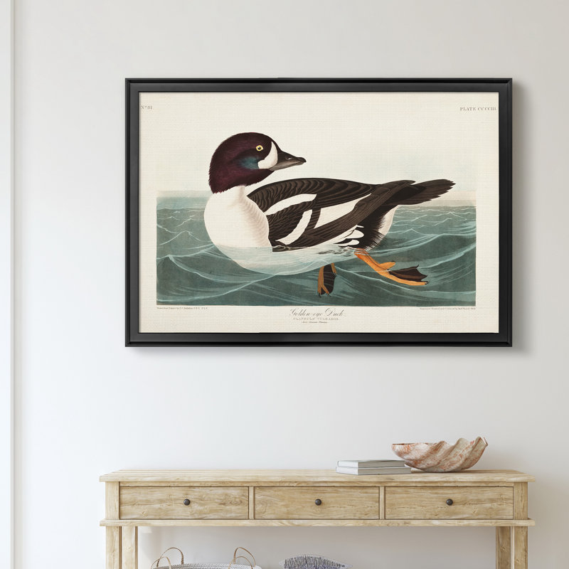 Golden Eye Duck - reproduction d'art sur toile, Noir, H 30,5 po x l 42,5 po x P 1,5 po