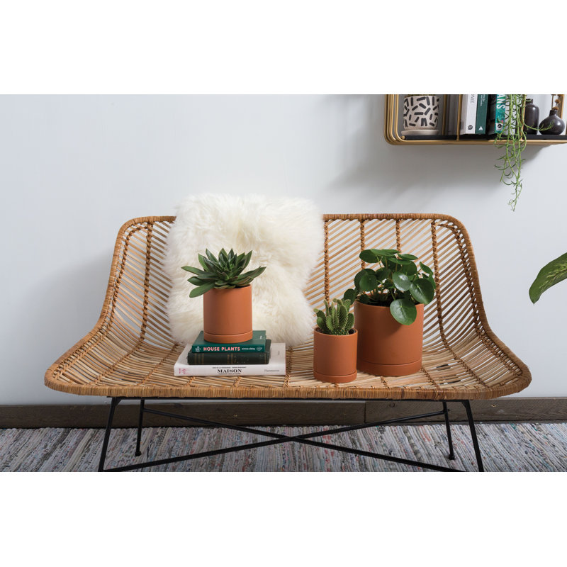 Jardinières en pot, Terra Cotta, H 7 po x l 7 po x P 7 po