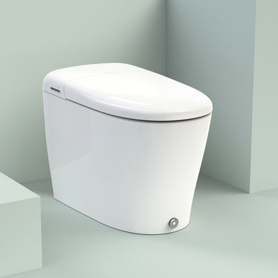 Toilette à bidet intégrée Coit