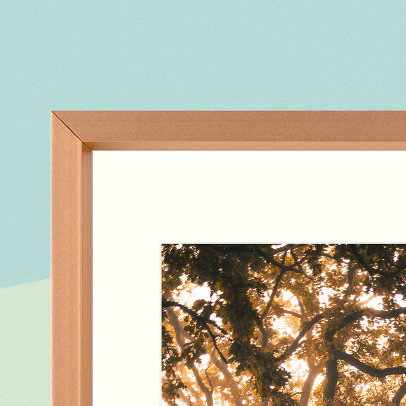 2 Piece Matte Gallery Wall Frame Set, Multi Photo Frames Collage, for Wall or Table Top Display, 8" x 10", Rose Gold