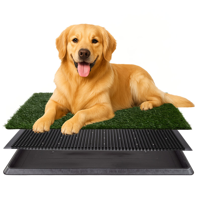 Coussin de pelouse artificiel pour chien et petits animaux de compagnie avec plateau PETMAker, H 1,25 po x l 30 po x P 20 po