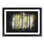 Yellow Birch Tree Forest - Picture Frame Graphic Art Print-56875981-56875989
