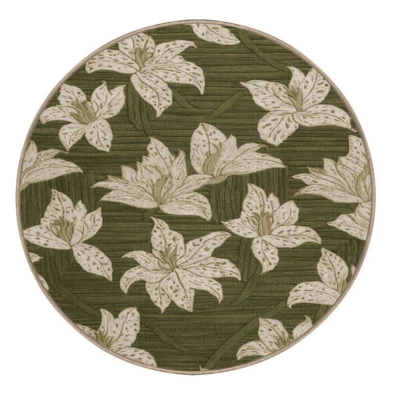 Tapis botanique brun lavable à la machine, Rond 6 pi