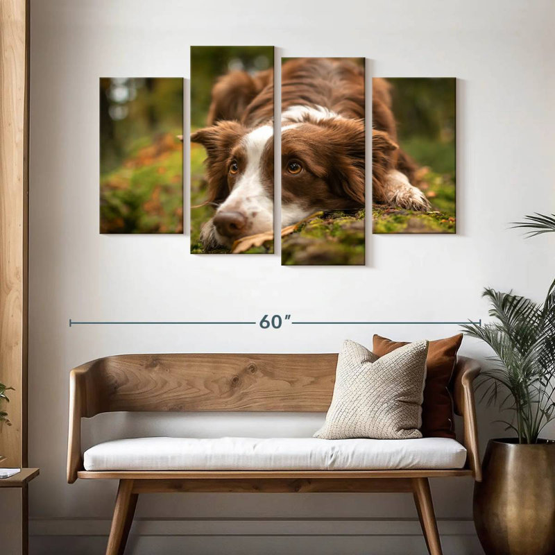 Brampt Lovable Border Collie, 32" H x 52" W