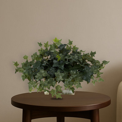 Ivy with White Wash Planter Silk Plant