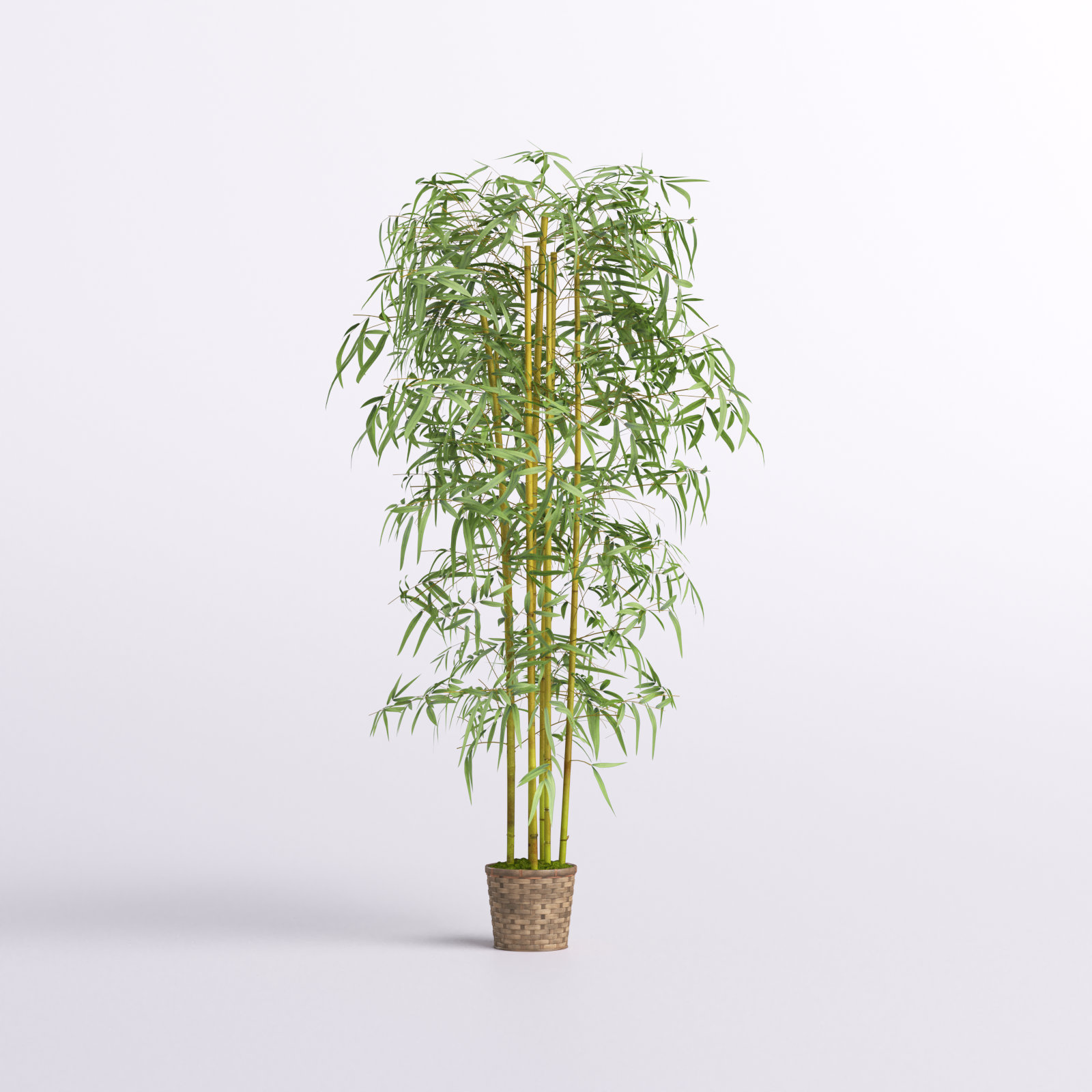 The Twillery Co.® Silk Bamboo Tree in Basket & Reviews Wayfair